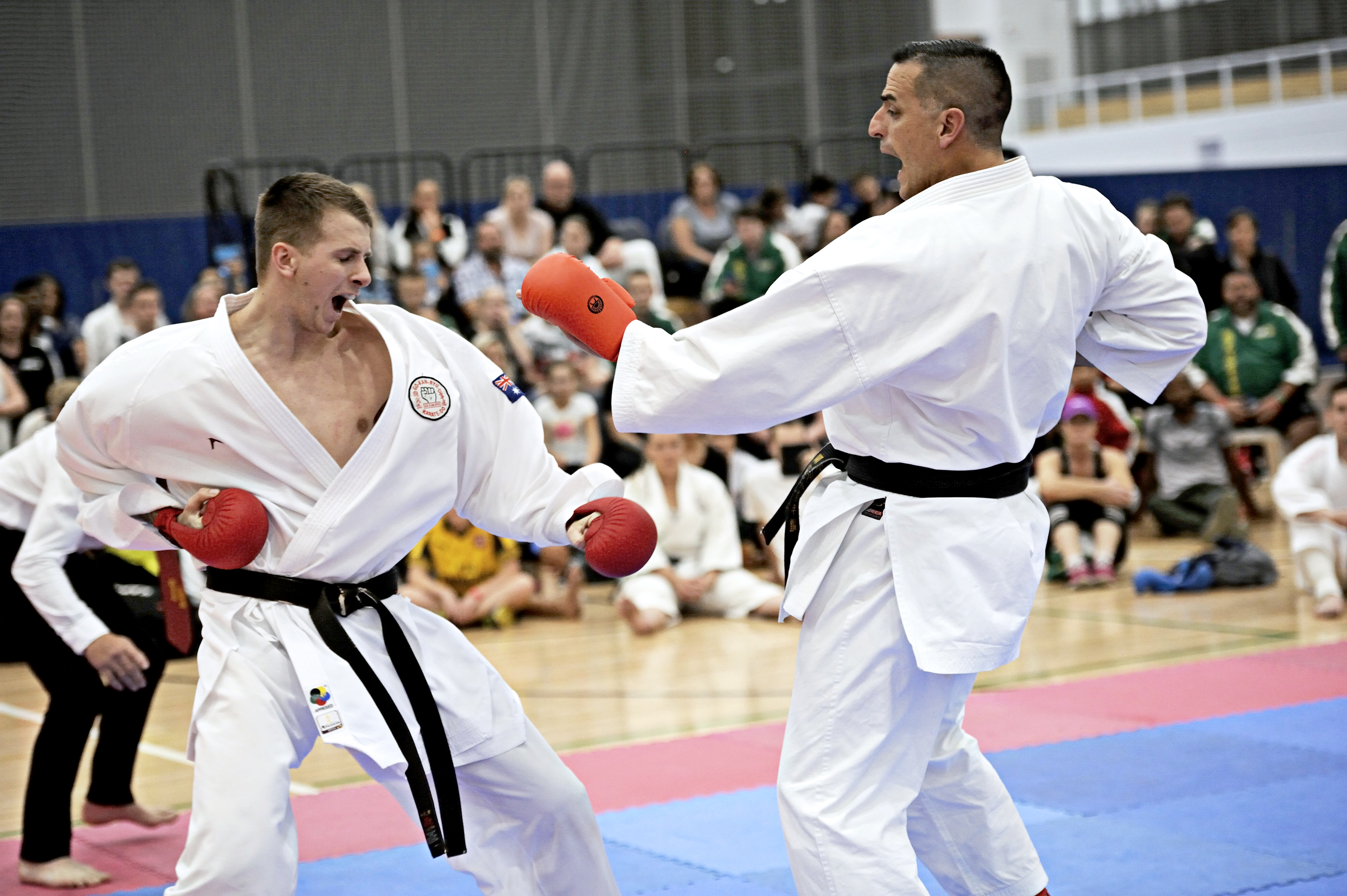 two men performing karate two men performing karate